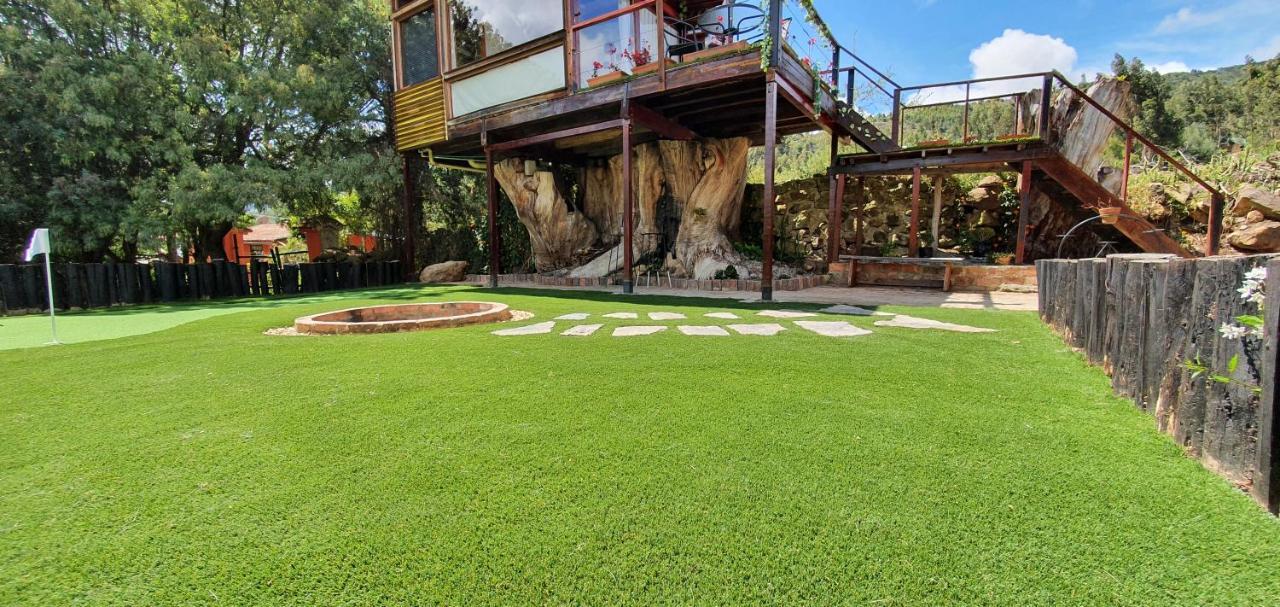 Villa Casa En El Arbol Suesca Exterior foto
